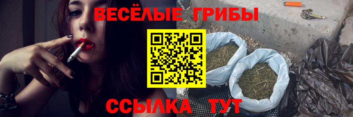 Нарткала  Галлюциногенные грибы мицелий  Вход с VPN 